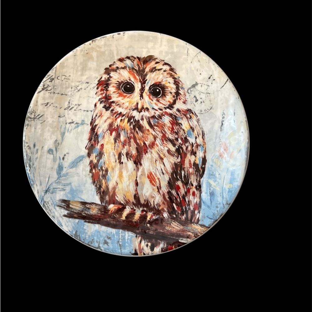 Pier 1 Imports 8.75" Ironstone OWL Plate, Discontinued/Retired Item